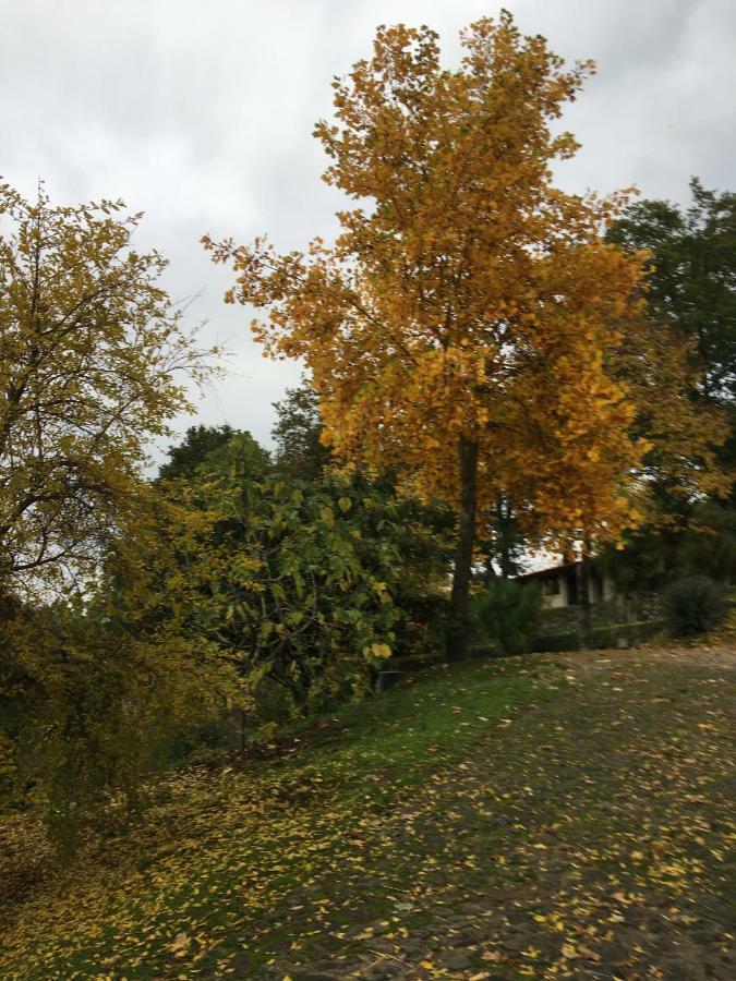 Вилла Quinta De Silharezes, Lda Понти-да-Барка Экстерьер фото